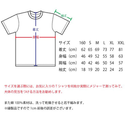 SAKAKI 風船爆弾 Tシャツ シティグリーン 5枚目の画像