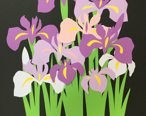 花の壁面飾り ハナショウブ アヤメ カキツバタ 初夏 保育 幼稚園 高齢