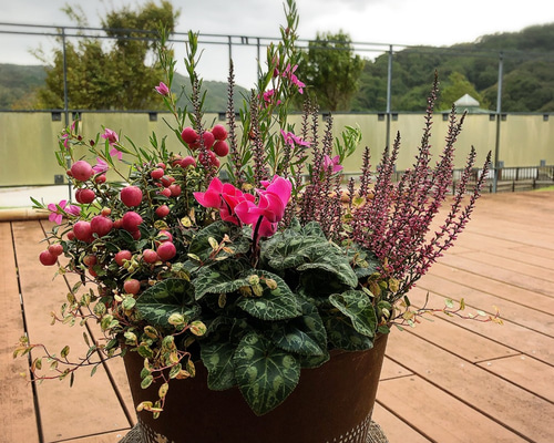 0_42dcb36d85e5bd7243b67ba402b3