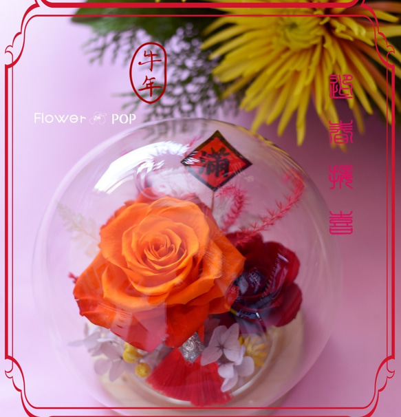 開幕花禮 ．簡單喜氣． 球型罩永生桌花．永生玫瑰玻璃罩．升遷祝賀．永生花禮物． 第2張的照片