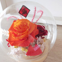 開幕花禮 ．簡單喜氣． 球型罩永生桌花．永生玫瑰玻璃罩．升遷祝賀．永生花禮物． 第3張的照片