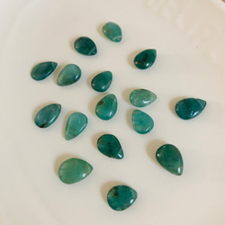  第2張的照片