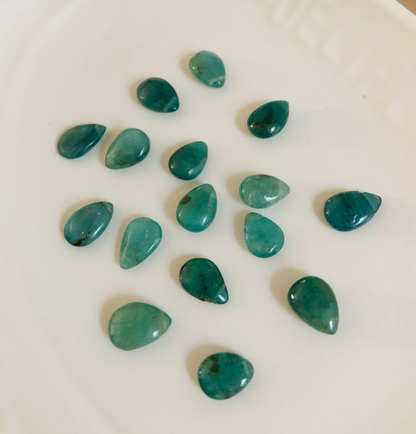  第2張的照片
