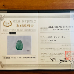  第6張的照片
