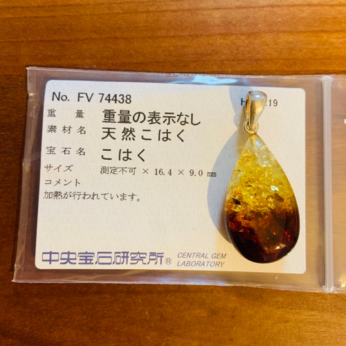 はくとん( 'ω')ŧ‹