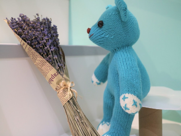熊愛Alex熊小乖手工棒針編織泰迪熊knitted teddy bearテディベア 第4張的照片