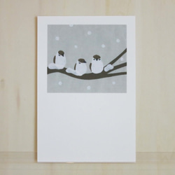 Post Card 4枚セット/P1_雪の中のすずめ 1枚目の画像