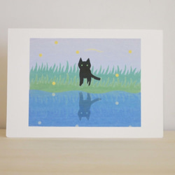 Greeting Card 3枚セット/G6_猫と蛍 1枚目の画像