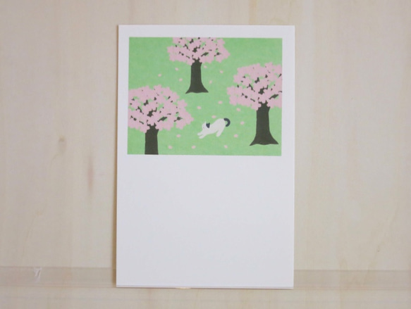 Post Card 4枚セット/P3_桜と猫 1枚目の画像