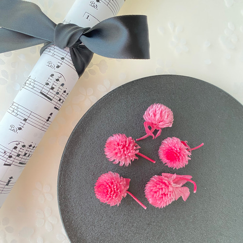 大地農園 千日紅 5輪アソート ドライフラワー プリザーブドフラワー 花