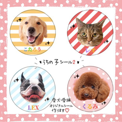 ♡うちの子シール2♡名入れ　愛犬　愛猫　サンキューシール　ペットシール　オーダーメイド 1枚目の画像