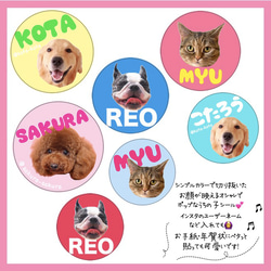 ♡うちの子シール/シンプルカラー♡名入れ　愛犬　愛猫　サンキューシール　ペットシール　オーダーメイド 2枚目の画像