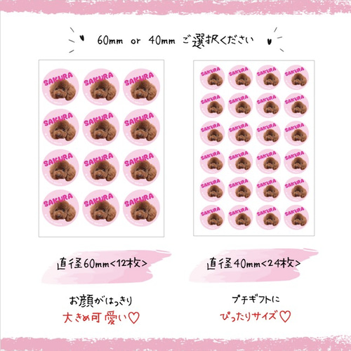 ♡オーダーページ♡ 【④あにまる(可愛♡)】 いちまる (@iiiichimarU_03) / X