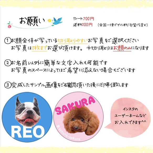 ♡うちの子シール/シンプルカラー♡名入れ　愛犬　愛猫　サンキューシール　ペットシール　オーダーメイド 4枚目の画像