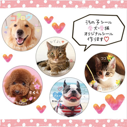 ♡うちの子シール♡名入れ　愛犬　愛猫　サンキューシール　ペットシール　オーダーメイド 1枚目の画像