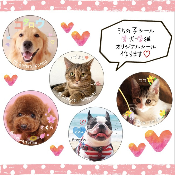 ♡うちの子シール♡名入れ　愛犬　愛猫　サンキューシール　ペットシール　オーダーメイド 1枚目の画像