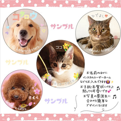 ♡うちの子シール♡名入れ　愛犬　愛猫　サンキューシール　ペットシール　オーダーメイド 2枚目の画像