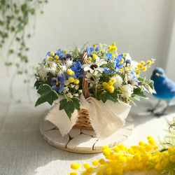 spring basket  〜ミモザと春の小花たち〜　【アート】 5枚目の画像