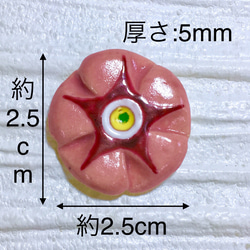  第3張的照片