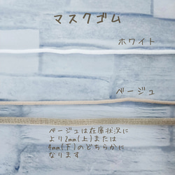 ダブルガーゼマスク✾春マスク✾内生地色・ゴム色選べる布マスク 6枚目の画像