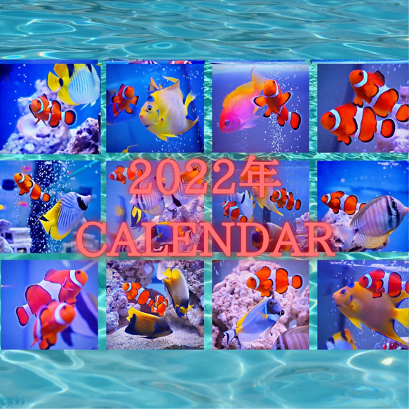 2022年カクレクマノミと海水魚たち卓上カレンダー　 1枚目の画像