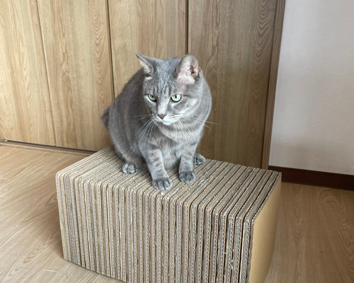 Petner トンネル爪とぎ 三毛猫 猫つめとぎ 入りこみ 爪とぎ 猫