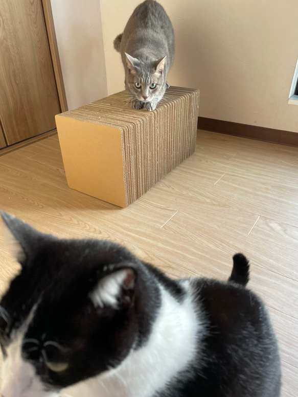 猫爪とぎ　 四角型 9枚目の画像