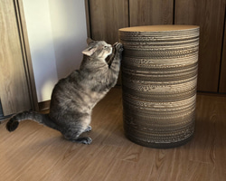 ハンドメイド 猫ちゃん ワンチャン ペット用 2段ベッド♫ 寝る場所ワイド ハンドメイド 猫ちゃん ワンチャン ペット用 2段ベッド♫ 寝る
