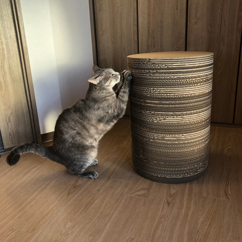 激安商品 Pet Table Factory Wood おもちゃ・ペット小物 Hinoki】No.824 食器・餌やり・水やり用品