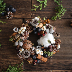 0_525e52837a40f389e8858356694b