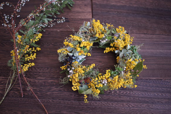 ふんわりミモザと草花の芽吹きリース✳︎ドライフラワーwreathe リース  
