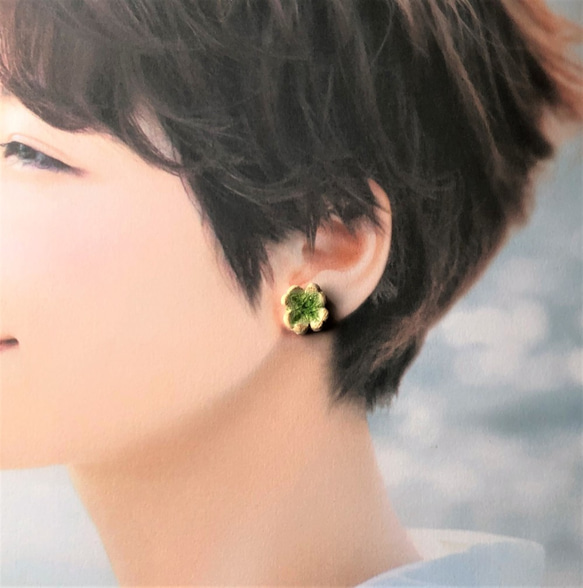 再次上架 [Shigaraki ware] Good Luck Clover Pottery Earrings Traditio 第6張的照片