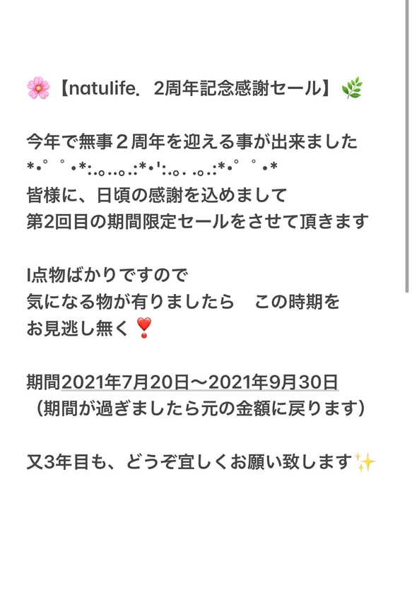 光触媒加工/ヴィンテージ⭐︎レトロ/ブラックブリキインテリア/流木付フェイクグリーン/1点物 5枚目の画像