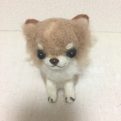 羊毛フェルト・ロングコートチワワ・ハンドメイド・犬 2枚目の画像