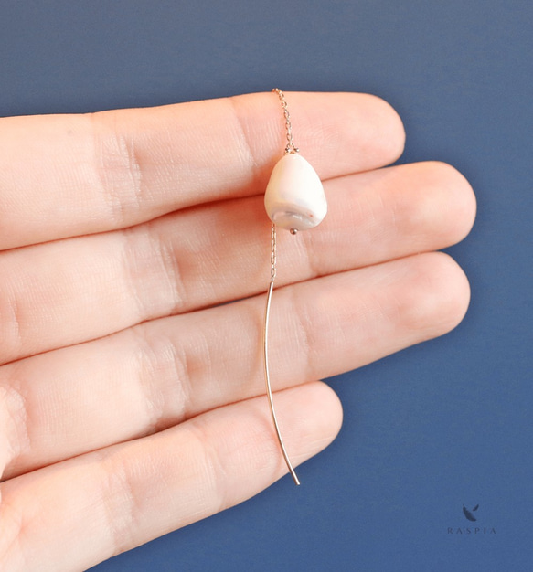 K10 單顆珍珠母貝（翻滾）美國耳環 ~CRASPEDIA GLOBOSA~ 第9張的照片