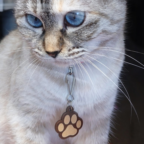 猫用　肉球迷子札　木製 3枚目の画像