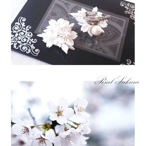 ⚜ 正絹 帯留め 帯飾り 白い桜つまみ細工 / 箱入【オーダー単品