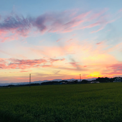 5kg 山形県産　低温熟成乾燥！大粒厳選☆つや姫　特別栽培　令和4年産　 8枚目の画像