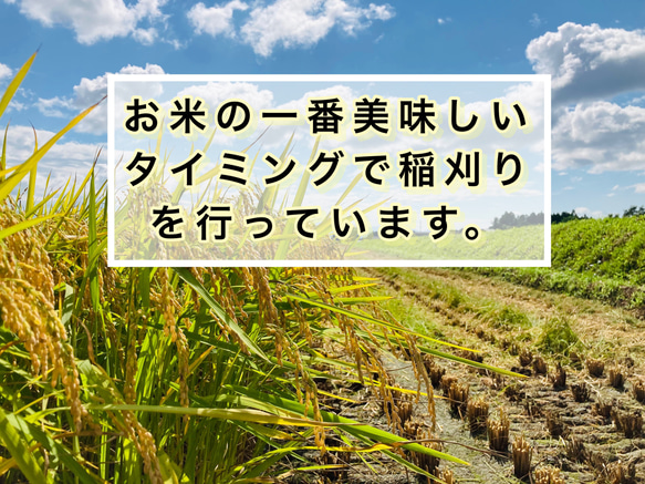 10kg 至福のつや姫　山形県　令和4年度産 2枚目の画像