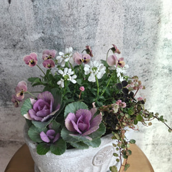 葉牡丹とビオラの寄せ植え*・ その他インテリア雑貨 Hanahana 通販