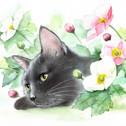 ポストカード6枚セット【黒猫のいる風景】 絵画 いろは癒し塾