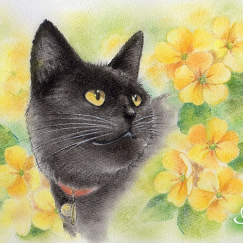 ポストカード6枚セット【黒猫のいる風景】 絵画 いろは癒し塾