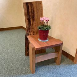 広葉樹の一枚板を使った森の木椅子（koisu) No.003 無垢椅子　子供椅子　飾り椅子　 7枚目の画像