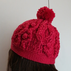 [魅了されすぎて死ぬほど愛されている]手編みのウールの帽子-ポロニウム柄の帽子 3枚目の画像