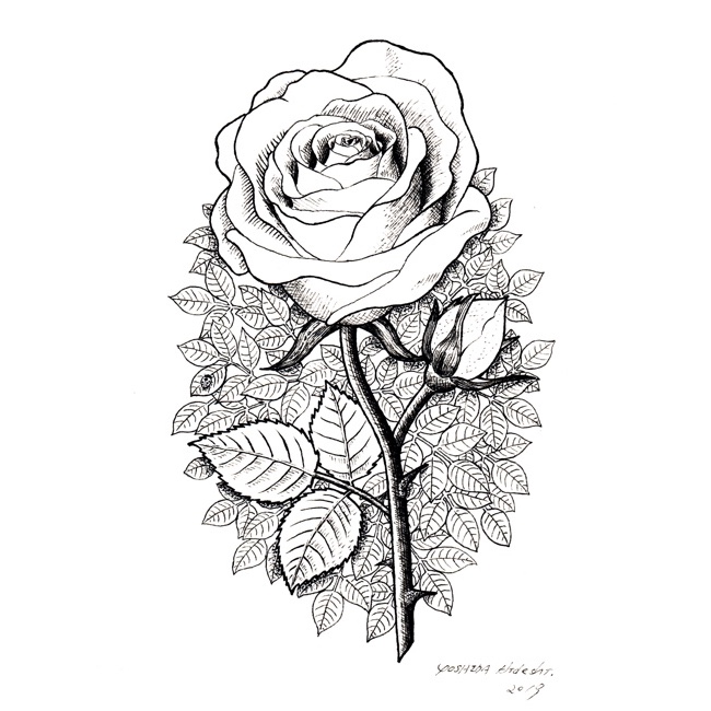 Rose