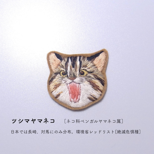 ベンガルヤマネコ ストール 惜し