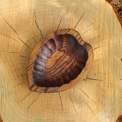 木の豆皿・ハート・サクラ（クリ・うるし） 1枚目の画像