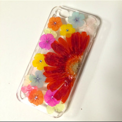 【限定1品】summer♡押し花iPhoneケース 3枚目の画像