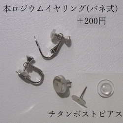 お値下げ‼2800円→1800円[送料無料]2Weyピアス 薔薇＆葉っぱ揺れる イヤリング グレーグラデ[092] 6枚目の画像