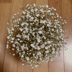 カスミソウのブーケ 花束 スワッグ ドライフラワー 2枚目の画像
